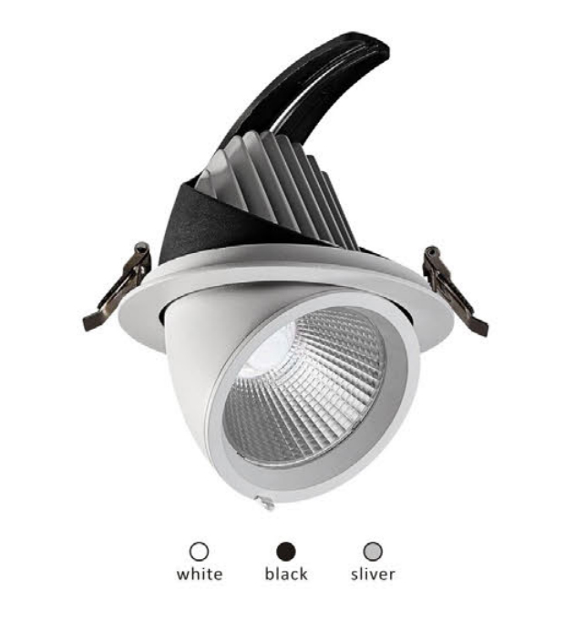 TIBER Downlight