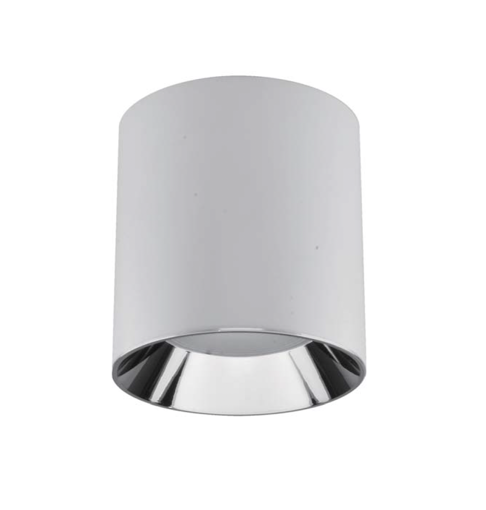 ARAS Downlight